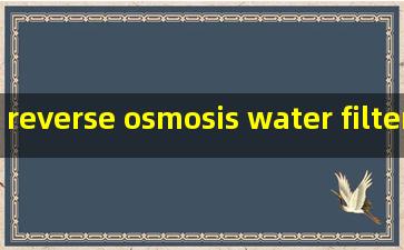 reverse osmosis water filter machine service